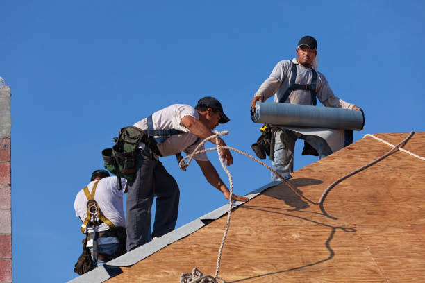 Best Roof Repair Services  in Taylor Creek, OH