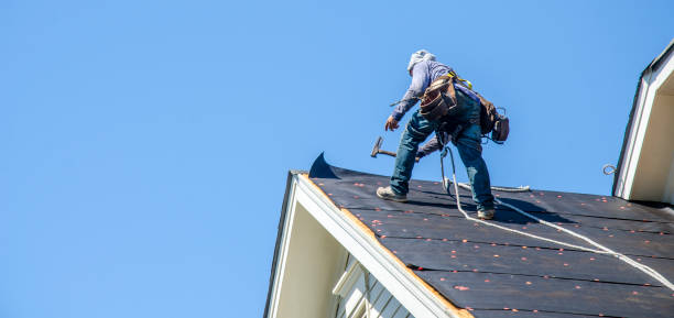 Best Roof Leak Repair  in Taylor Creek, OH